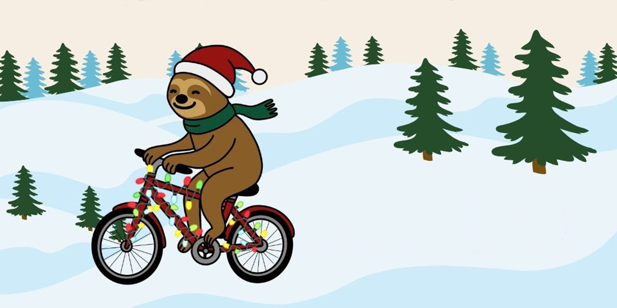 Bellingham Lighted Bike Parade